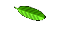 Gstebuch