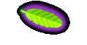 Regina