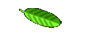 Vanessa