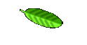 Wieberobend