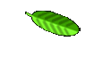 Regina